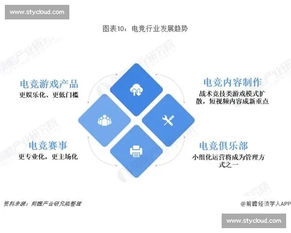 职业联赛发展趋势与俱乐部运营策略全面解析报告