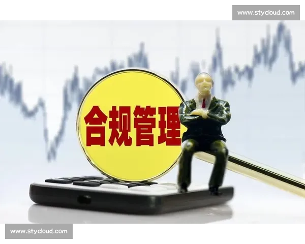 体育赛事组织与管理实践中提升比赛执行效率的策略研究